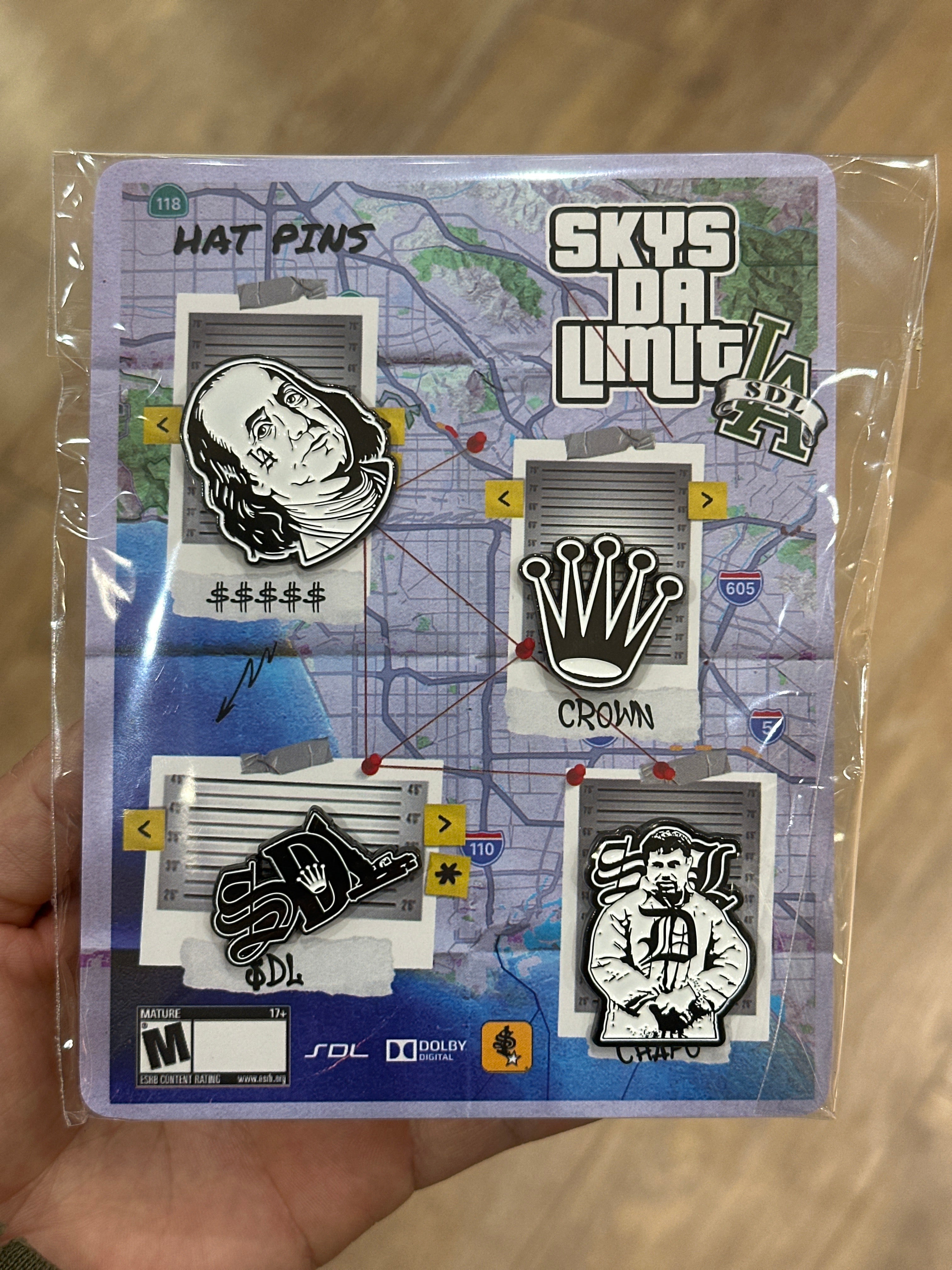 SDL HAT PINS